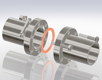 CF Flanges